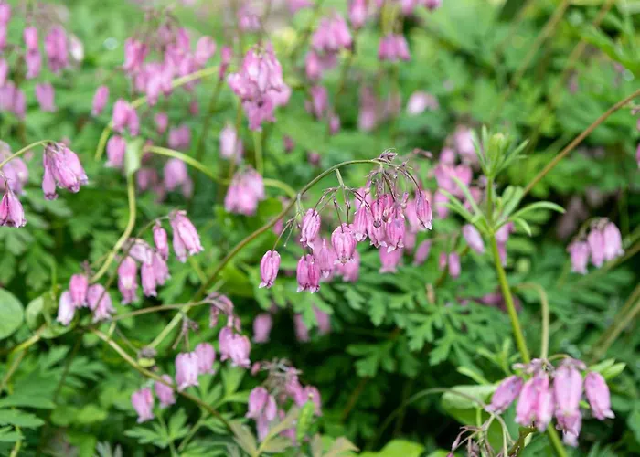 Holiday home Little Ambleside