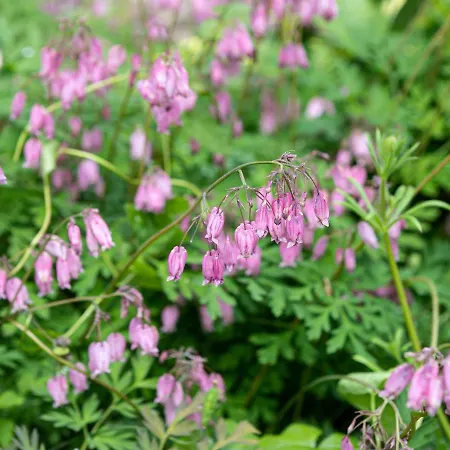 Дом отдыха Little Эмблсайд